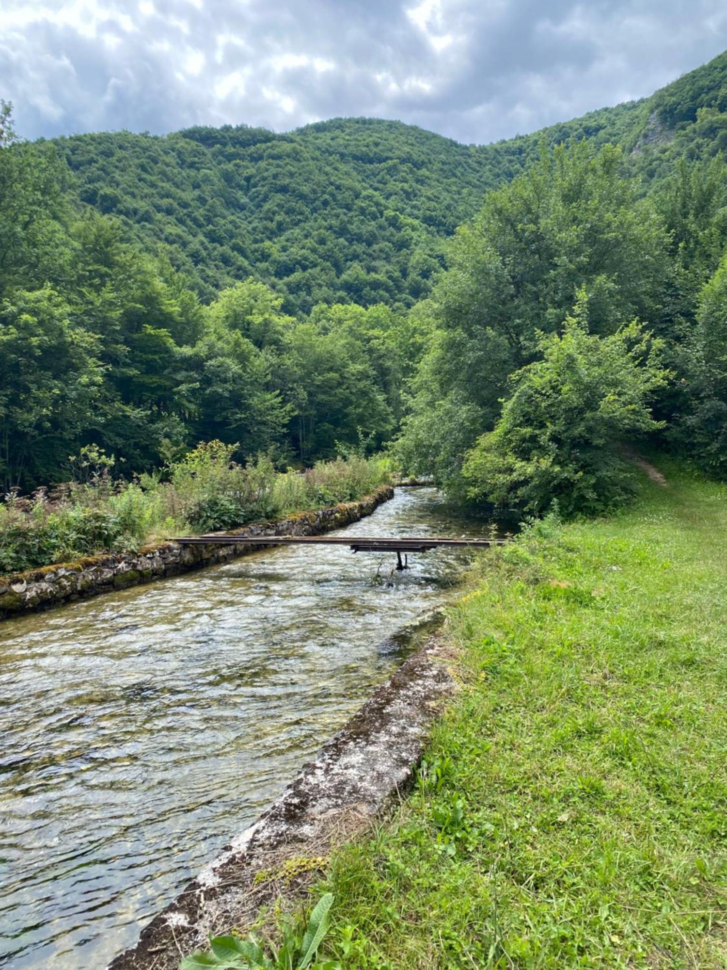 Izvor Plive